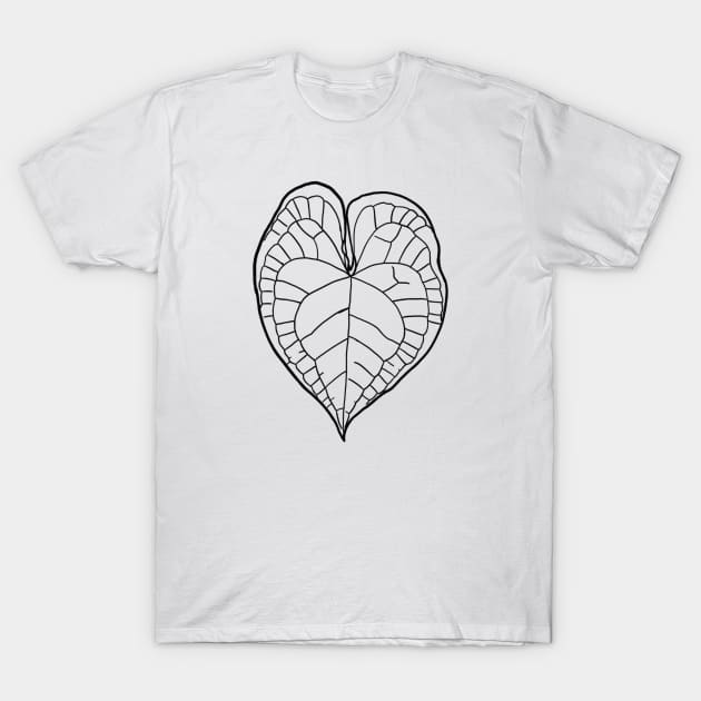 Anthurium clarinervium T-Shirt by thenordicjungle